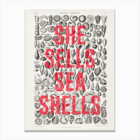 She Sells Sea Shells Canvas Print