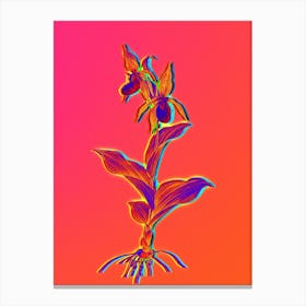 Neon Lady's Slipper Orchid Botanical in Hot Pink and Electric Blue n.0221 Canvas Print