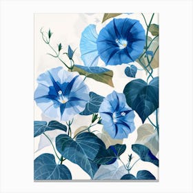 Blue Morning Glory 2 Canvas Print