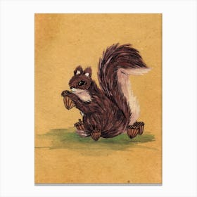 Home Squirrel Animal Lover Canvas Print