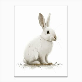 Florida White Rabbit Nursery Illustration 4 Canvas Print