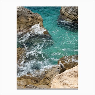 Turquoise water and seagull on the cliffs Canvas Print