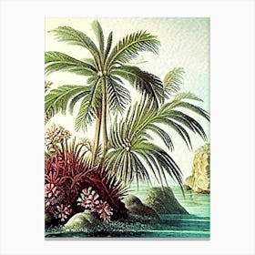 Coral Reef Waterscape Vintage Illustration 1 Canvas Print