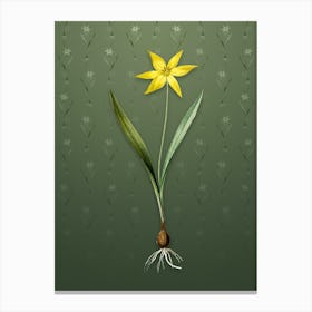 Vintage Tulipa Celsiana Botanical on Lunar Green Pattern n.2567 Canvas Print