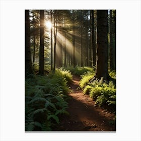 Sunrise In The Forest 1 Canvas Print