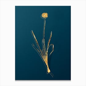 Vintage Mouse Garlic Botanical in Gold on Teal Blue n.0331 Canvas Print