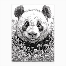 Giant Panda Cub Ink Illustration A Field Of Flowers Ink Illustration 1 Canvas Print