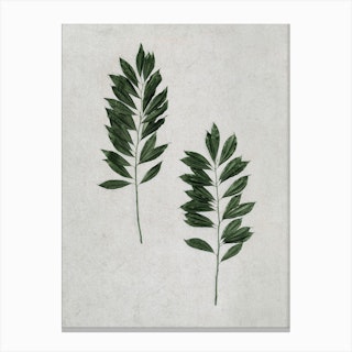 Lush Leaves Duo Canvas Print