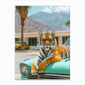 Tiger In Palm Springs 1 Canvas Print