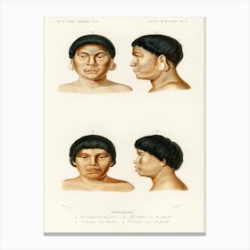 Human Race, Charles Dessalines D' Orbigny 2 Canvas Print