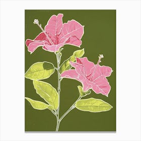 Pink & Green Bougainvillea 3 Canvas Print