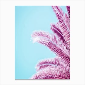 Pink Palm Trees Canvas Print