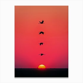 Sunset Birds Canvas Print