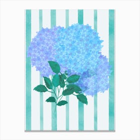 Blue Hydrangea Canvas Print