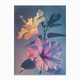Iridescent Flower Hibiscus 4 Canvas Print