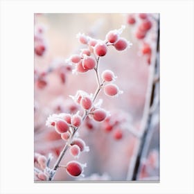 Frosty Botanical Winterberry 2 Canvas Print