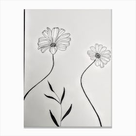 Marguerites  Canvas Print