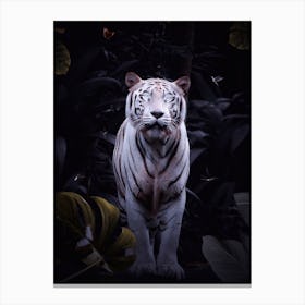 White Tiger With Bright Eyes Canvas Print