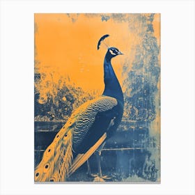 Orange & Blue Peacock By The Fountain Canvas Print