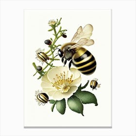 Pollination Bees 1 Vintage Canvas Print