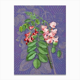 Vintage Robinier Rose Bloom Botanical Illustration on Veri Peri n.0735 Canvas Print