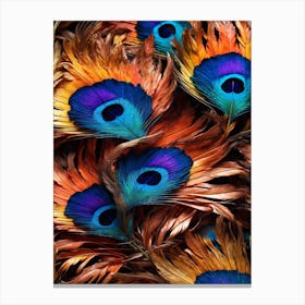 Peacock Feathers Art Print 1 Canvas Print