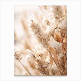 Boho Dried Flowers Statice 3 Canvas Print