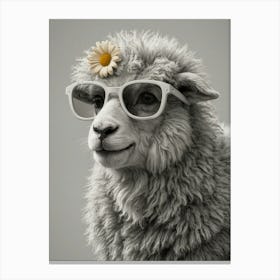 Sheep In Sunglasses 1 Canvas Print
