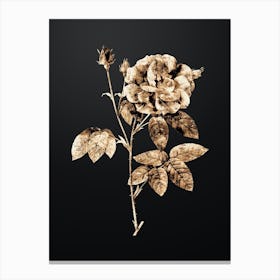 Gold Botanical French Rose on Wrought Iron Black n.3606 Canvas Print