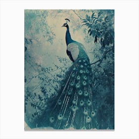 Peacock In The Tree Cyanotype Inspired Turquoise Canvas Print