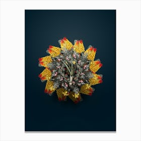 Vintage Weevil wort Floral Wreath on Teal Blue n.0146 Canvas Print