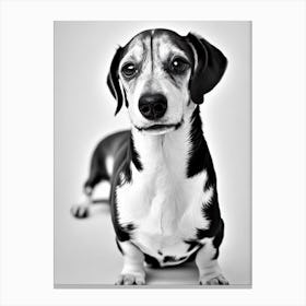 Dachshund B&W Pencil dog Canvas Print