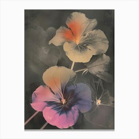 Iridescent Flower Nasturtium 4 Canvas Print