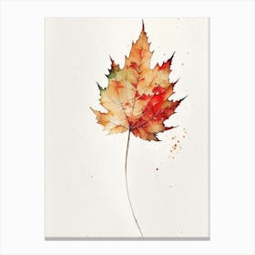 Sugar Maple Leaf Minimalist Watercolour 3 Canvas Print