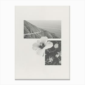 Hibiscus Flower Photo Collage 2 Canvas Print