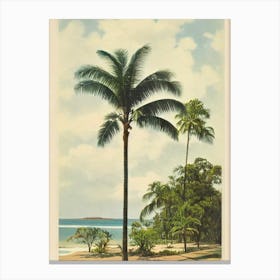 Rosebud Beach Australia Vintage Canvas Print