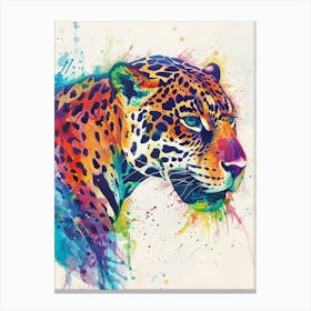 Jaguar Colourful Watercolour 3 Canvas Print
