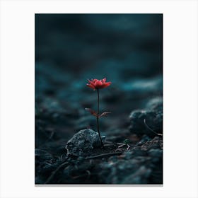 Single Red Flower 21 Canvas Print