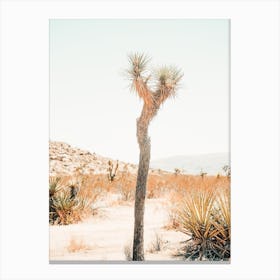 Small Joshua Tree Canvas Print