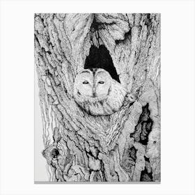 Owl in the hollow Canvas Print