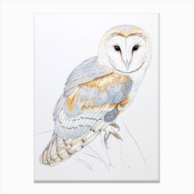 Barn Owl Drawing 1 Canvas Print