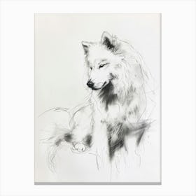 Samoyed Dog Charcoal Line 2 Canvas Print