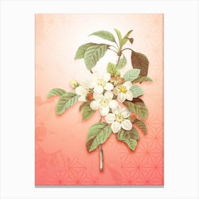 Apple Blossom Vintage Botanical in Peach Fuzz Asanoha Star Pattern n.0232 Canvas Print