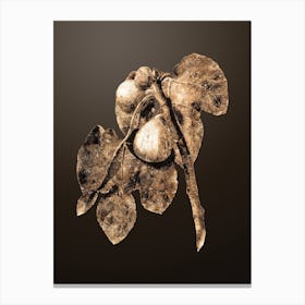 Gold Botanical Fig Branch on Chocolate Brown n.3088 Canvas Print