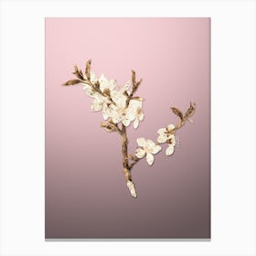 Gold Botanical Almond Tree Flower on Rose Quartz n.4661 Canvas Print