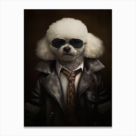 Gangster Dog Bichon Frise Canvas Print