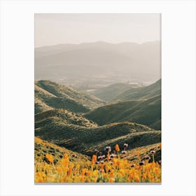 Poppy Flowers In California Canvas Print