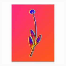 Neon Victory Onion Botanical in Hot Pink and Electric Blue n.0290 Canvas Print