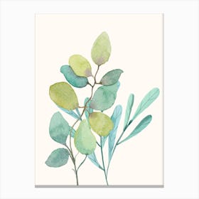 Eucalyptus Watercolor Painting Canvas Print