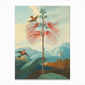 Hummingbirds And Flowers Canvas Print